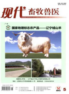 现代畜牧兽医